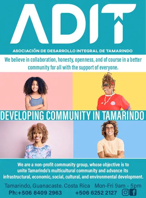 ASOCIACION DESARROLLO INTERGRAL TAMARINDO