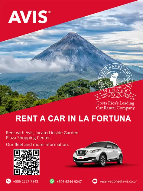 AVIS RENT A CAR