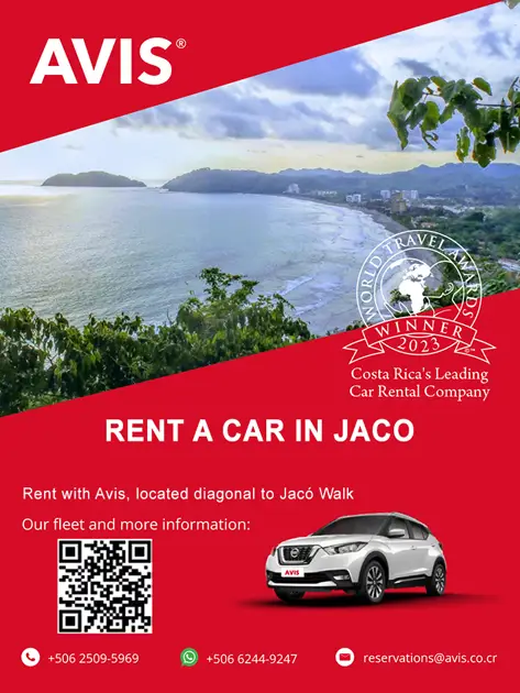 AVIS RENT A CAR