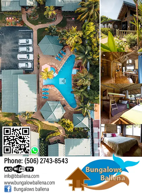 BUNGALOWS BALLENA