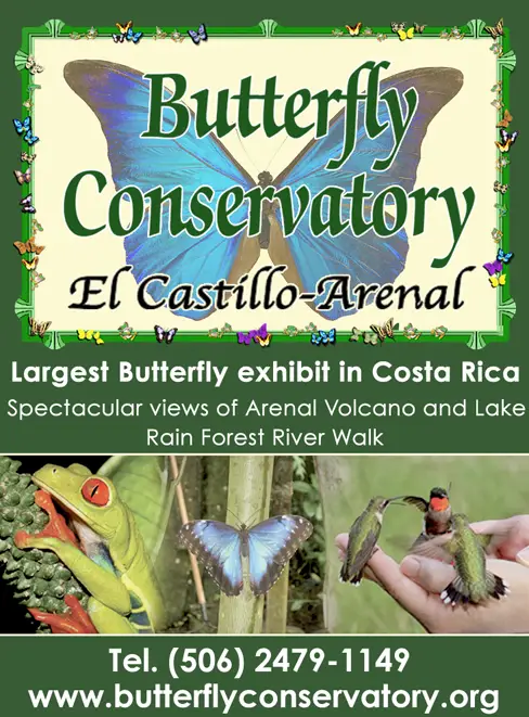 BUTTERFLY CONSERVATORY