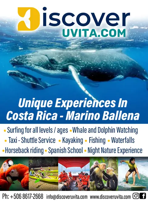 DISCOVER UVITA