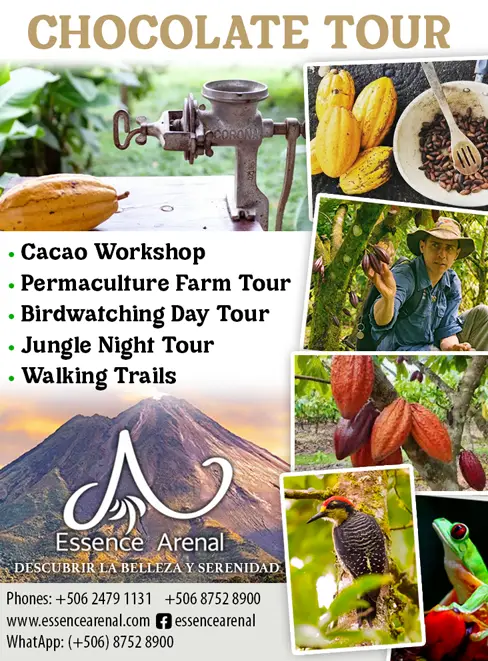 ESSENCE ARENAL BOUTIQUE HOTEL
