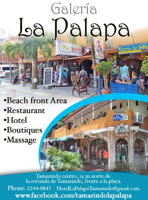 GALERIA & HOTEL LA PALAPA on The Beach