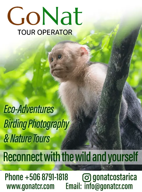 GO NAT TOUR OPERATOR