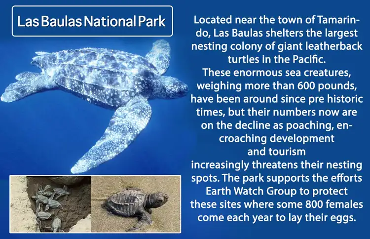PARQUE NACIONAL LAS BAULAS