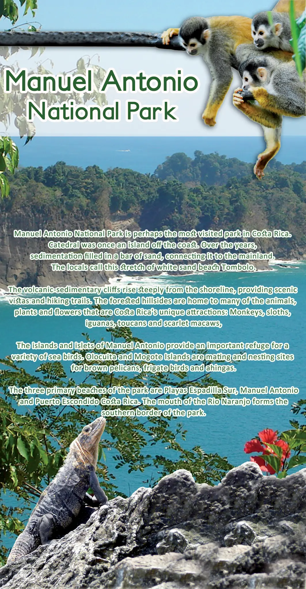 PARQUE NACIONAL MANUEL ANTONIO