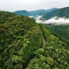 BRAULIO CARRILLO NATIONAL PARK — Parque / Atracción, Costa Rica