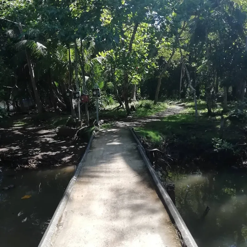 JACO'S ESTUARY — Park / Attraction, Jacó Beach