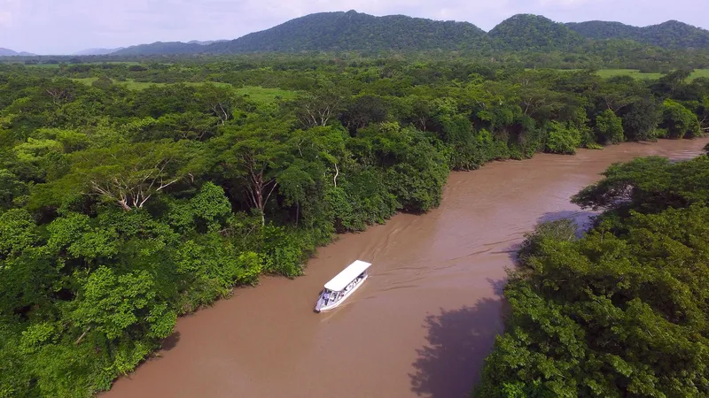PALO VERDE NATIONAL PARK — Park / Attraction, Costa Rica