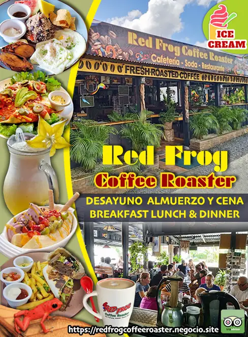 RED FROG COFFEE ROASTER & HOTEL