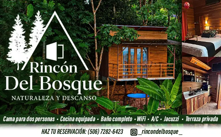RINCON DEL BOSQUE