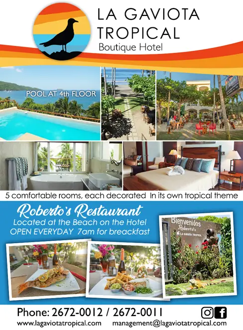 ROBERTOs BAR RESTAURANT at La Gaviota Tropical House