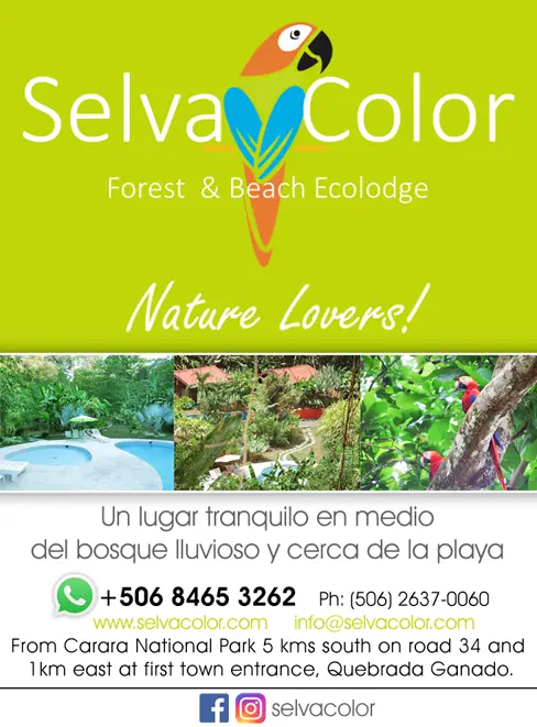 SELVA COLOR FOREST & BEACH ECOLODGE