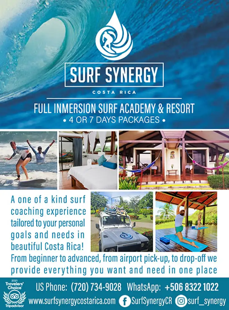 SURF SYNERGY