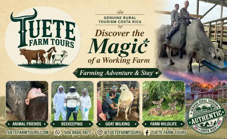 TUETE FARM TOURS