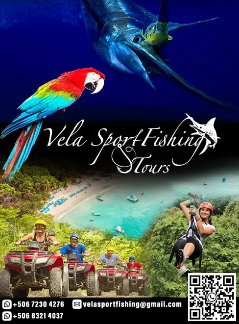 VELA SPORTFHISHING TOURS