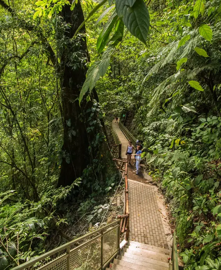 Puente colgante entre las copas de la selva cerca de Arenal