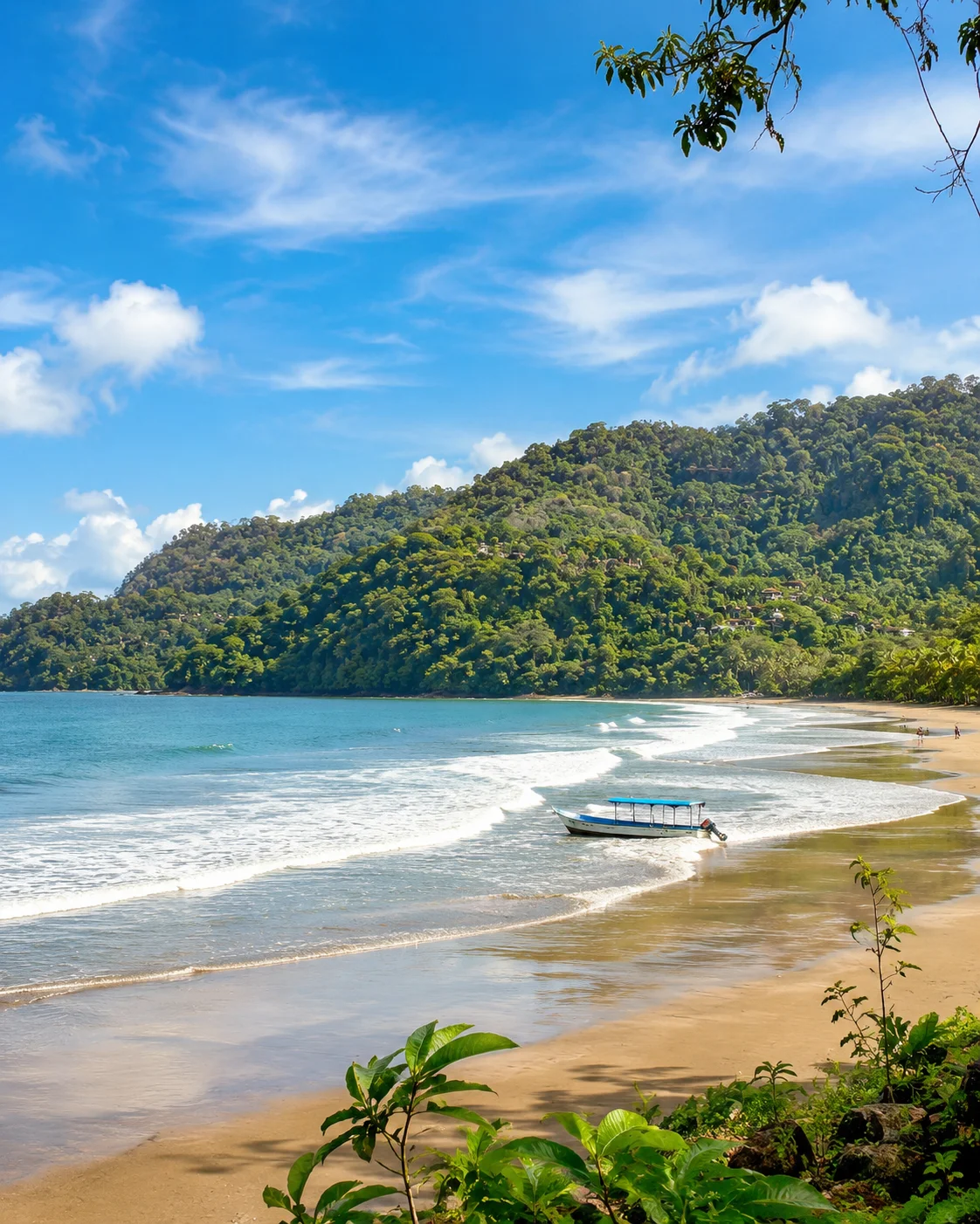 Jungle-backed beach in Marino Ballena National Park