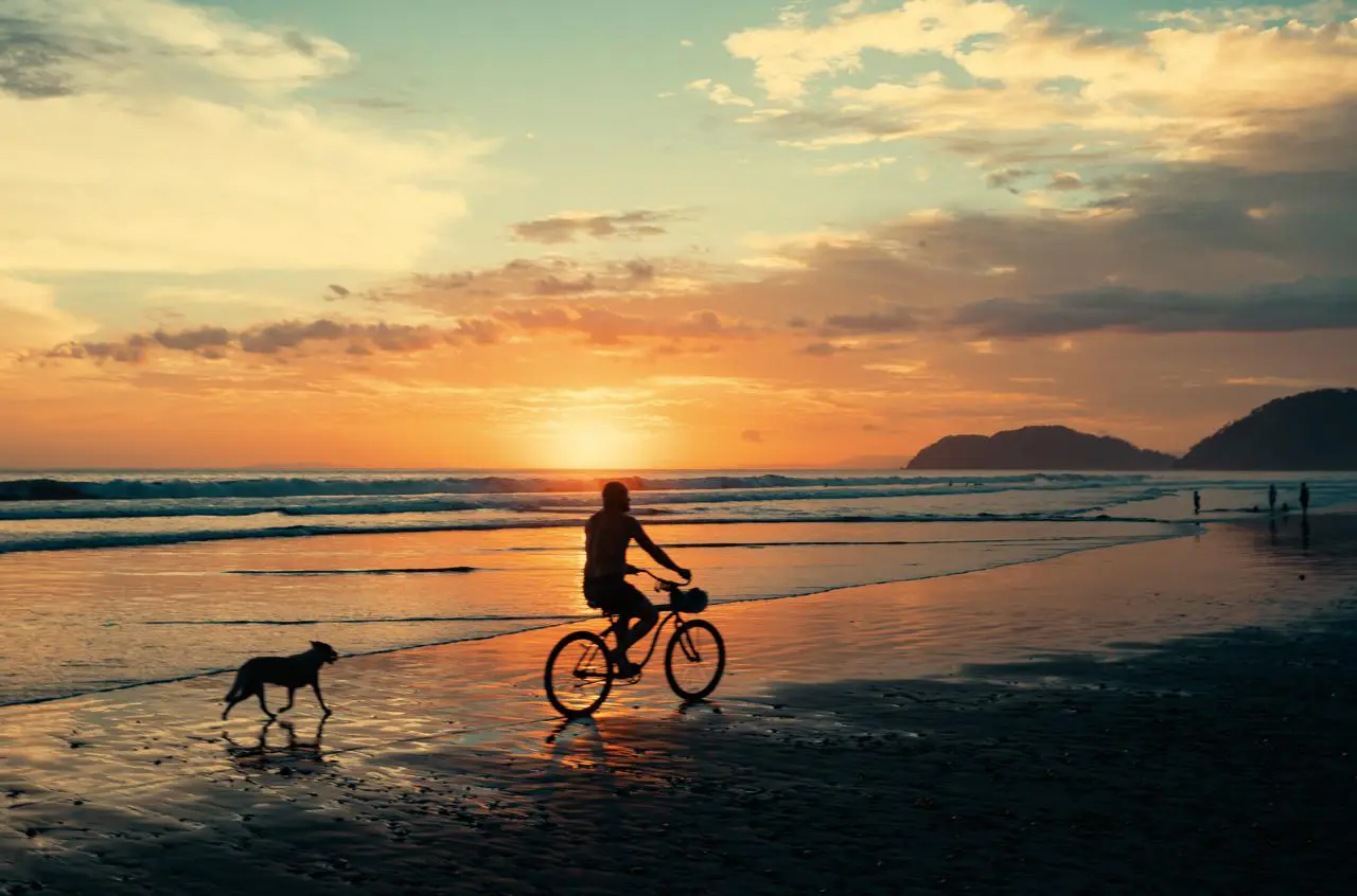 Cyclist and dog on the wet sand of Jacó beach at sunset