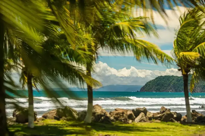 Palm trees framing the Pacific ocean in Jacó