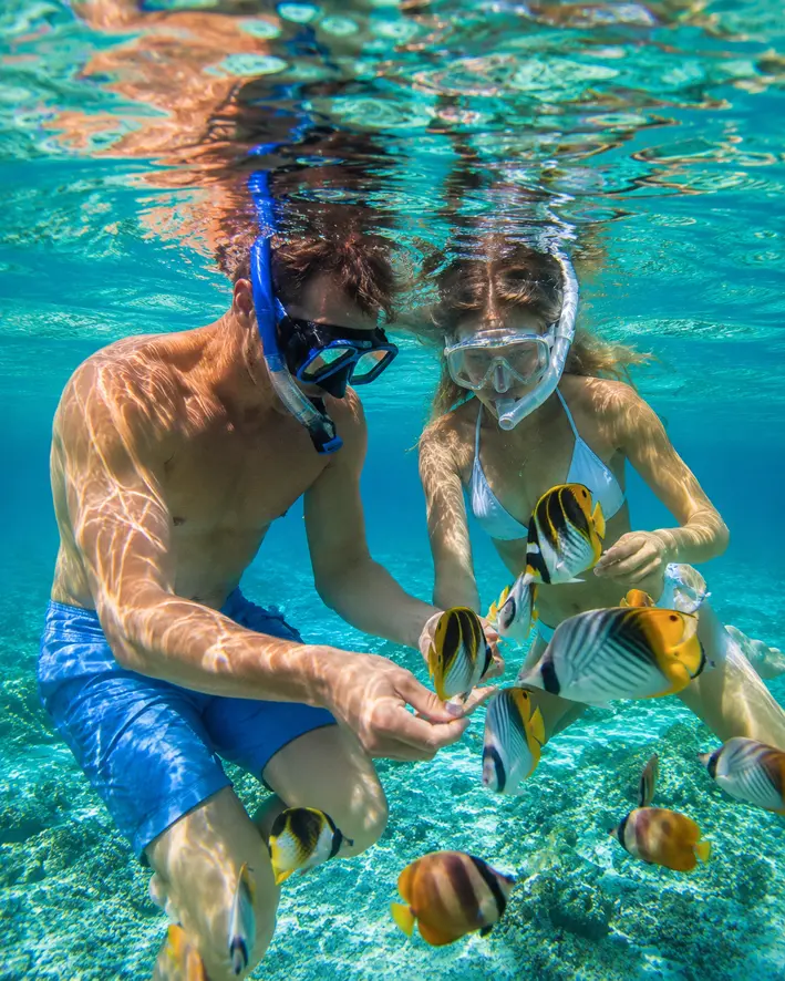 Snorkeling among tropical fish near Manuel Antonio