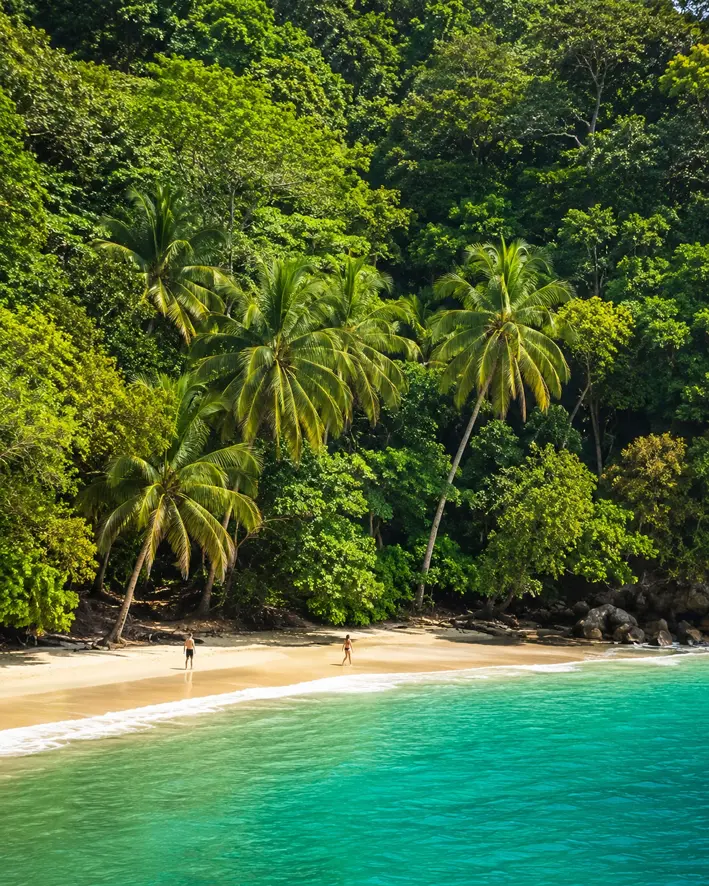 Jungle-framed beach inside Manuel Antonio National Park