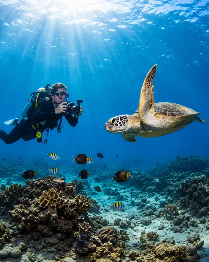 Buzo con una tortuga marina cerca de Playas del Coco